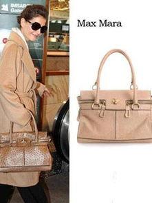 明星拉杆箱街拍图片,拉杆箱街拍时尚盘点