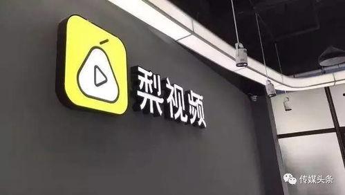 头条资讯10分钟视频,10分钟视频精华内容概览