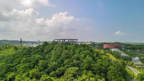 钦州网红约会地点,网红约会圣地大盘点”