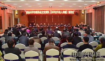 兴平镇最新新闻头条,最新进展及影响解析