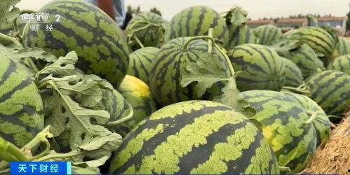 黄颜色吃瓜群qq,揭秘QQ群中的趣味生活圈