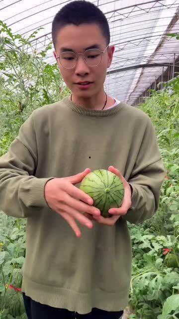 吃捧瓜去皮吗,揭秘吃捧瓜的去皮技巧