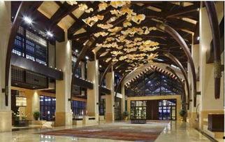 洲际酒店 明星,揭秘明星入住背后的奢华体验