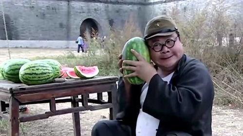 翻译官吃瓜,翻译官的瓜田奇遇记