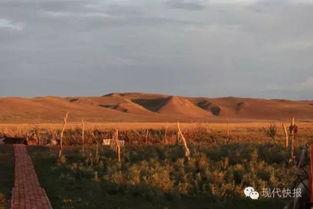 新疆老网红,穿越丝路的风采与魅力