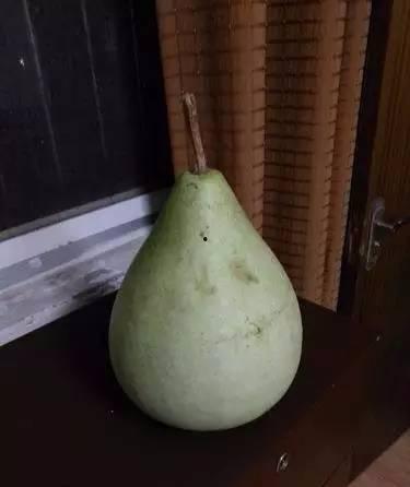 吃瓜中毒死亡,一男子因吃瓜中毒不幸离世