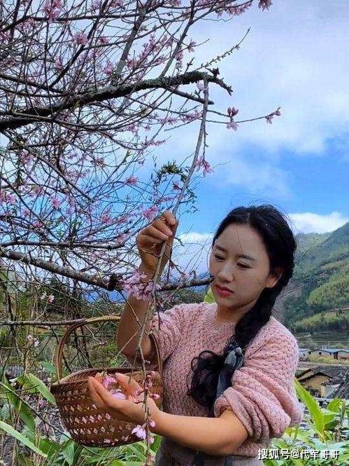 网红武夷沈丹,探寻茶香四溢的山水传奇