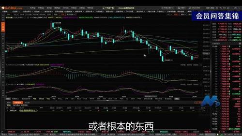 央行最新爆料牛市股票,揭秘潜力股票投资风向标