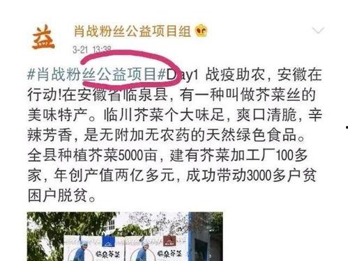 头条粉丝公益项目怎么做