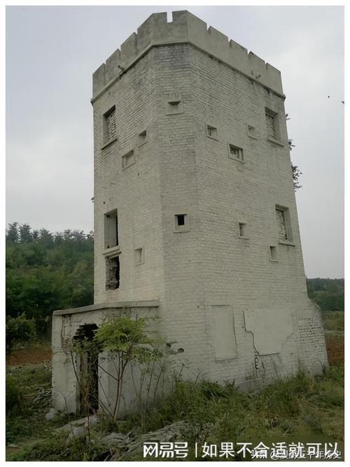 网红炮楼,揭秘网络红人的崛起与影响力