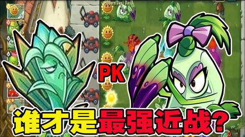 网红植物大战僵尸龙舌兰,网红植物守护家园记