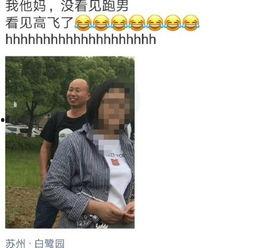 网红高飞,网红界的璀璨明星，揭秘他的爆红之路