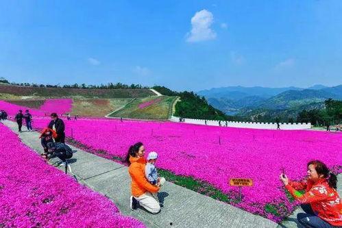 焉耆网红景点大全图片,风光无限，魅力四射