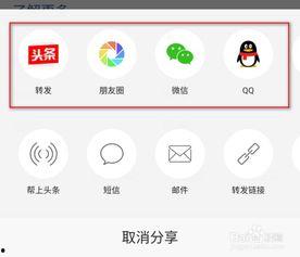 头条转发如何加文字标题,头条转发文字标题添加技巧，让你的内容更具吸引力