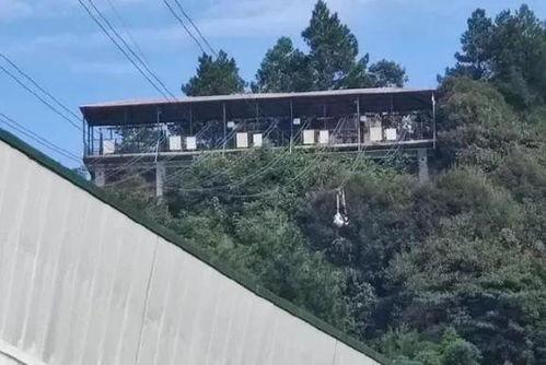 网红景区事故,揭秘背后的安全隐患与反思