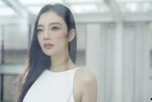 爆料李小璐视频事件最新,真相与争议交织