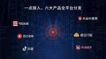 今日头条视频聊城人,探寻古城韵味，感受岁月流转