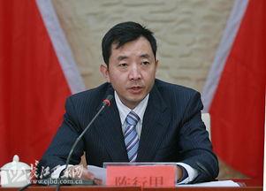 网红县委书记离职,揭秘政坛新星背后的故事