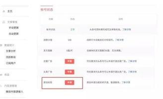 头条号申请原创几天过审