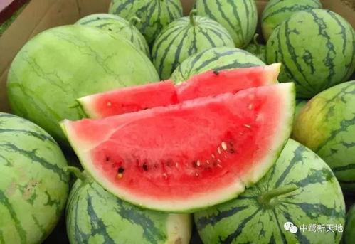 吃瓜视频的时间