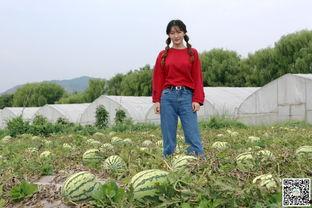 天水最近吃瓜,最新吃瓜事件大盘点