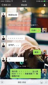 来宾土豪爆料视频,视频爆料背后的奢华世界