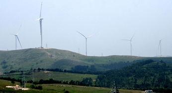 唐河上屯乡新闻头条